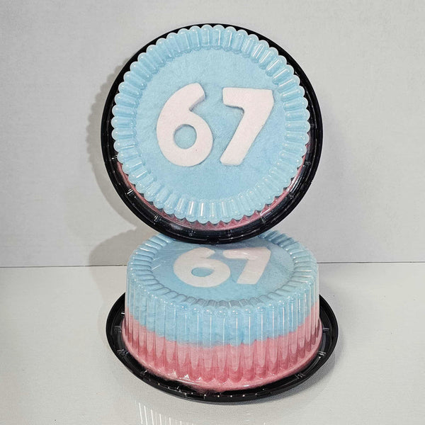 67 Cotton Candy Cake, 7.5 inches round Rainbow Birthday Cake, Unicorn theme party, Floss Candy Cake, vegan gluten dairy free, unique dessert, viral cake