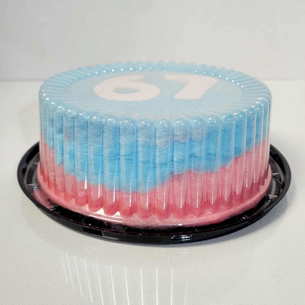 67 Cotton Candy Cake, 7.5 inches round Rainbow Birthday Cake, Unicorn theme party, Floss Candy Cake, vegan gluten dairy free, unique dessert, viral cake